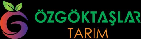 Özgöktaşlar